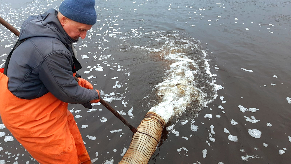 Почти 8 тысяч мальков краснокнижного лосося выпустили в реку в Карелии