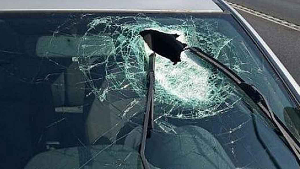 Жительница поселка Карелии разбила камнями автомобиль водителя, который сбил ее собаку
