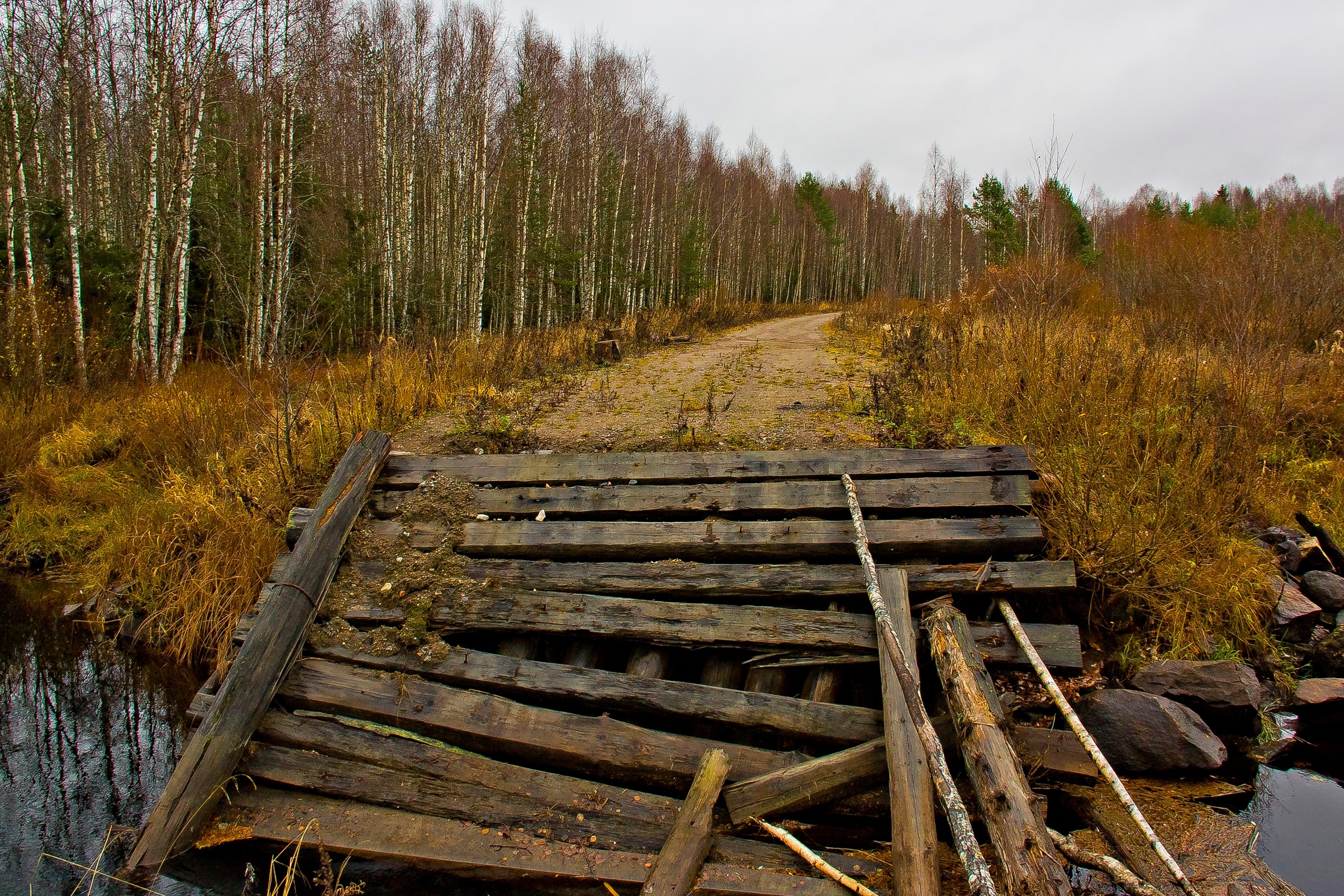 Путешественники пожаловались на разрушенный автомобильный мост в районе Карелии (ФОТО)