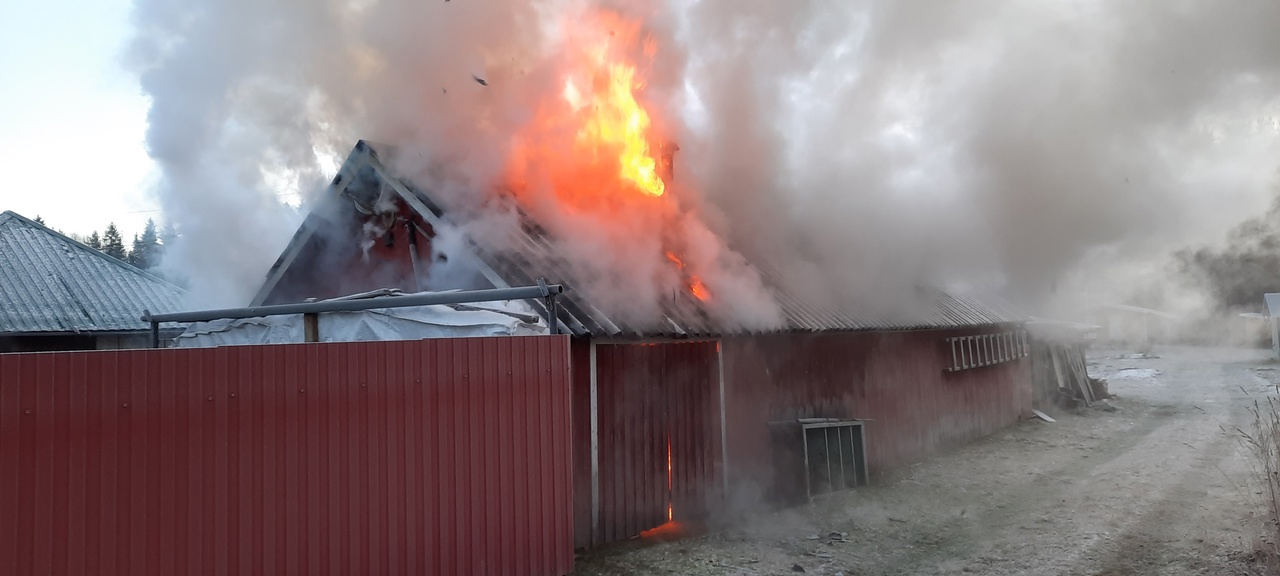 Пожар уничтожил хозпостройки в дачном поселке в Карелии (ФОТО)