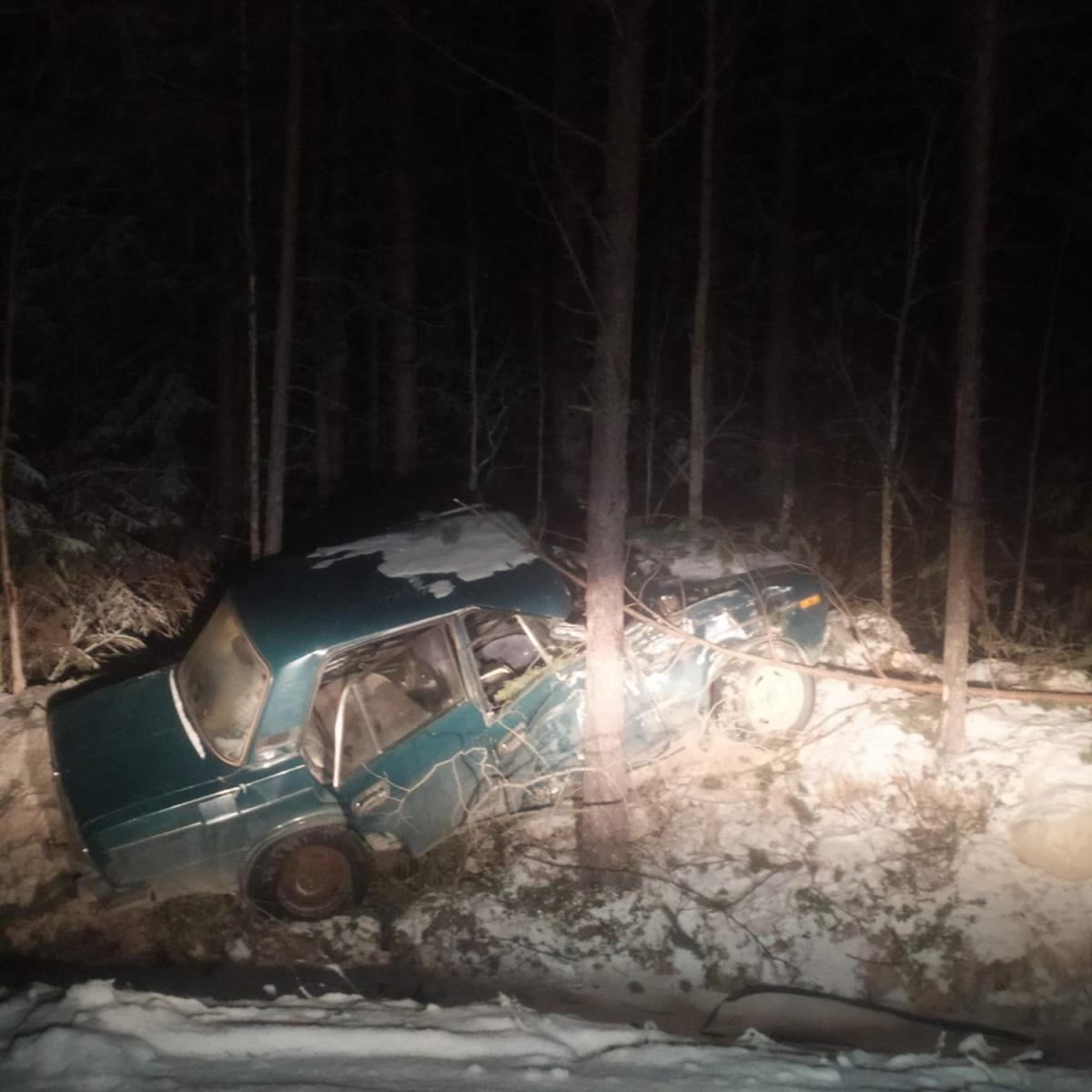В Карелии два человека пострадали в автомобиле, вылетевшем с трассы в лес (ФОТО)