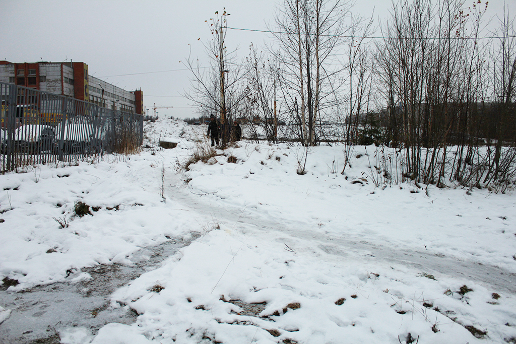 Благоустройство парка радиозавода в Петрозаводске закончат под Новый год