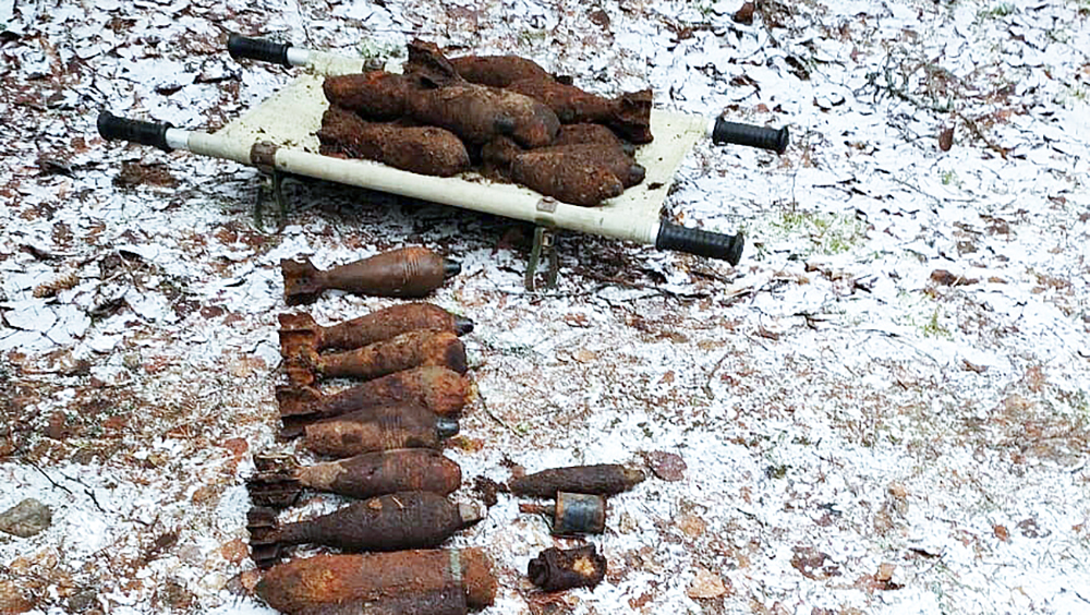 Три авиационных бомбы были найдены в лесах Карелии (ФОТО)