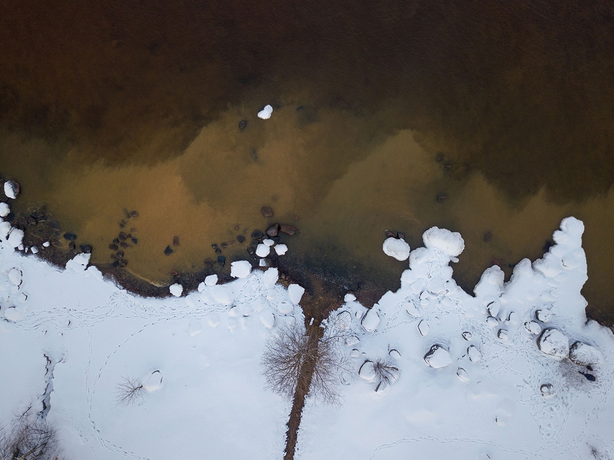 «Дрянь» окрасила Онежское озеро в центре Петрозаводска в коричневый цвет (ФОТО)