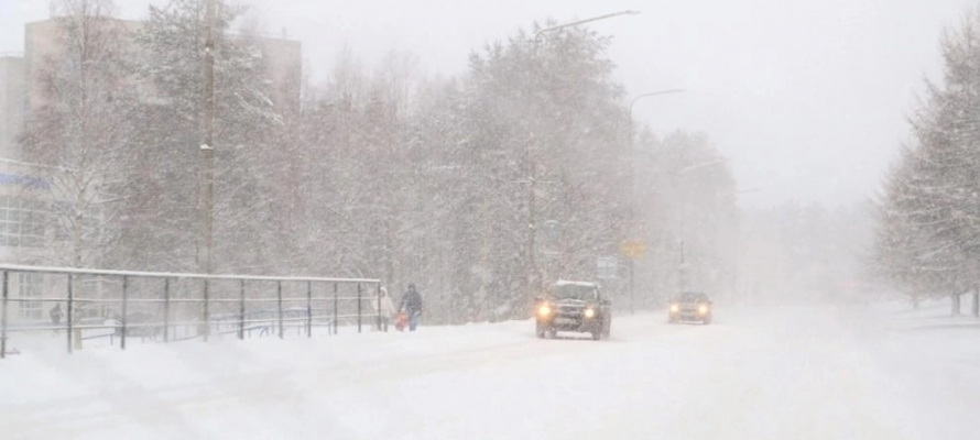 МЧС предупреждает о снегопаде в шести районах Карелии