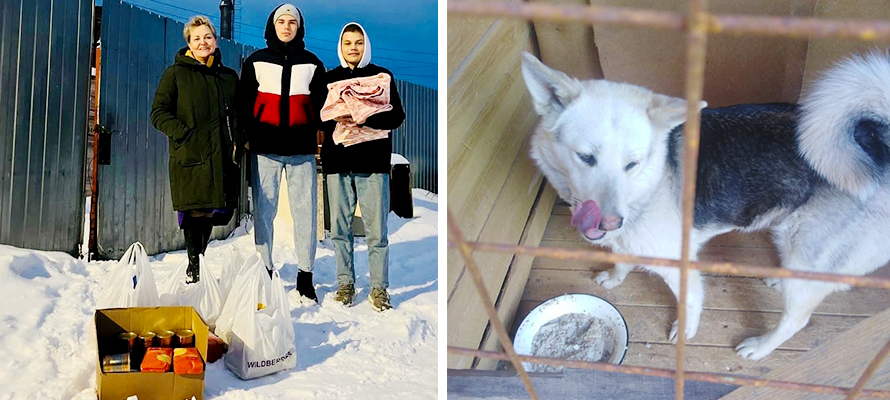 В Карелии студенты и сотрудники училища олимпийского резерва подарили тепло бездомным животным