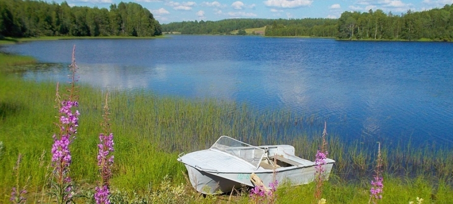 В Совете Федерации обсуждают возможность смягчения запретов для водоохранных зон Карелии