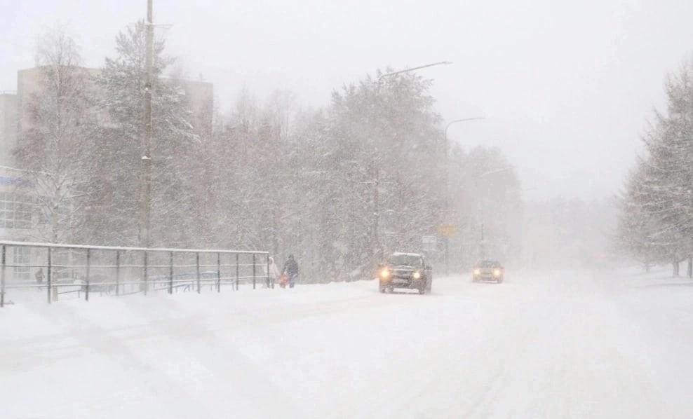 Сильные снегопады обещают жителям двух районов Карелии