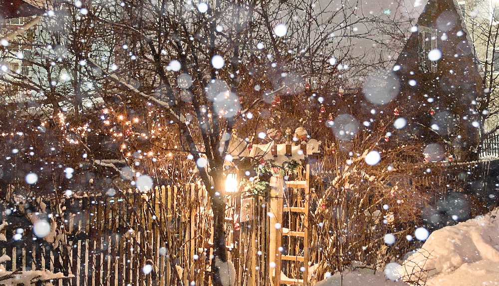 В канун Нового года в Карелии потеплеет до +2°С и выпадет мокрый снег