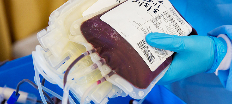 Станция переливания крови Петрозаводска будет работать на каникулах всего один день