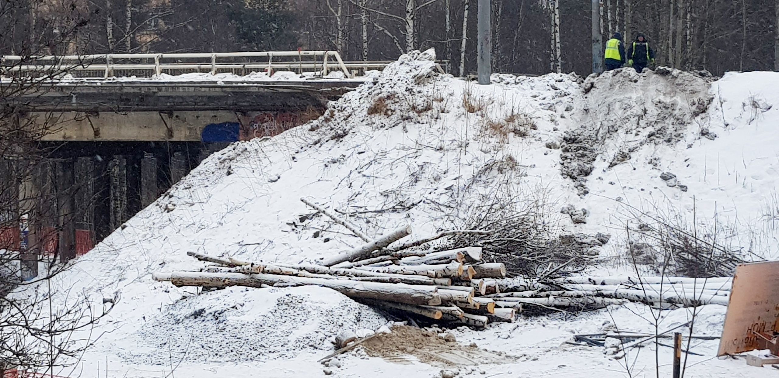 Власти Петрозаводска обещают посадить новые деревья вместо вырубленных из-за ремонта моста