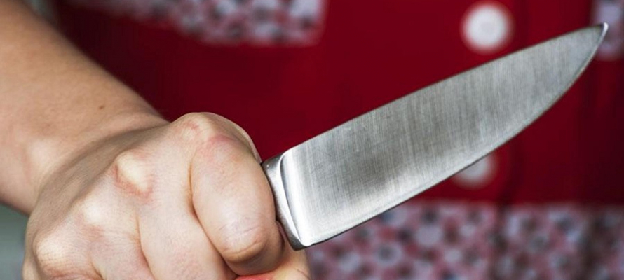 На севере Карелии врачи спасли семейную пару, изрезанную ножом