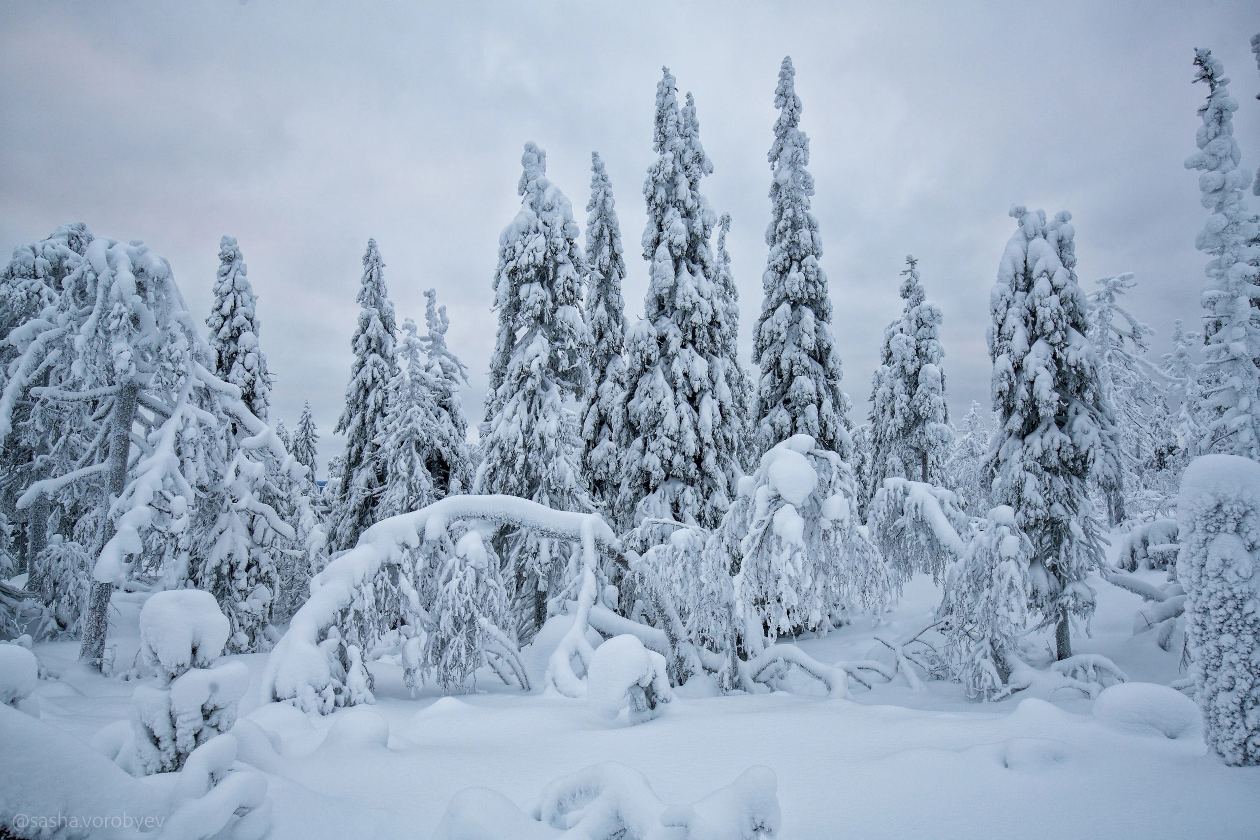 «Снежные монстры»: в сети появились зимние фото самой загадочной горы Карелии