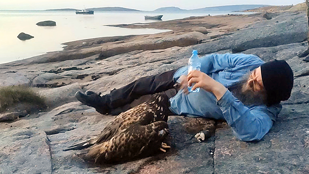 Монахи спасли молодого орла, застрявшего в ветках ели на острове в Карелии (ВИДЕО)