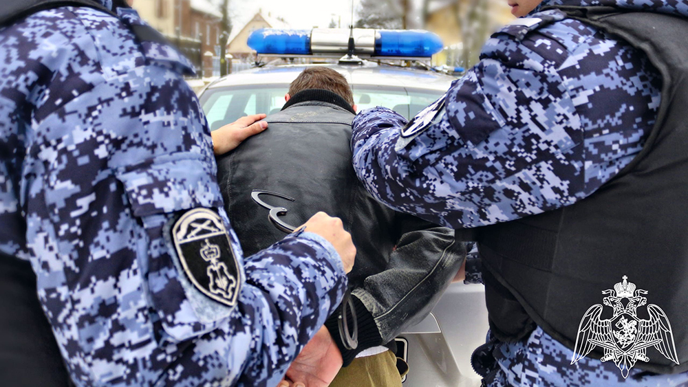 Мужчину с ворованными бензопилами в багажнике авто задержали в Петрозаводске