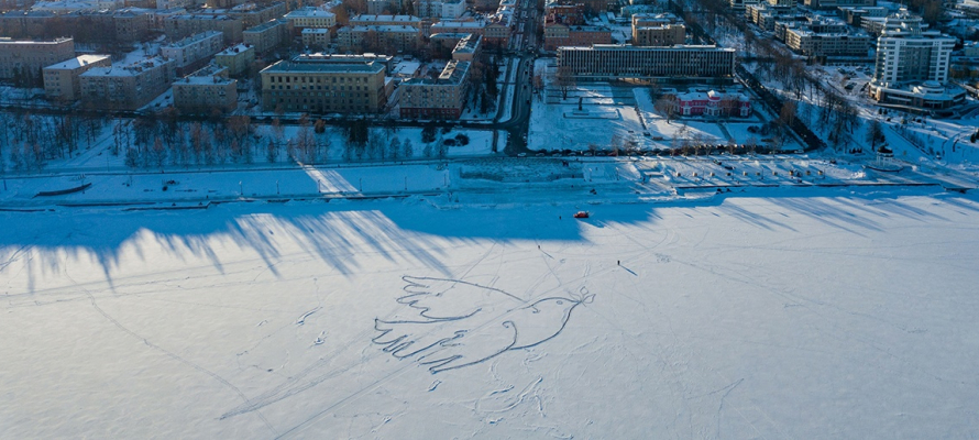 Голубь мира прилетел на Онежское озеро в Петрозаводск (ВИДЕО)
