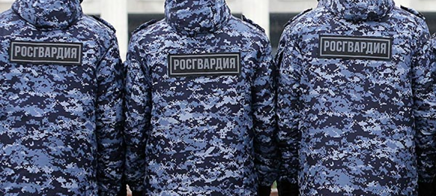 Бойцы Росгвардии в Карелии за неделю задержали 14 воров, укравших имущество на 12 тыс. рублей