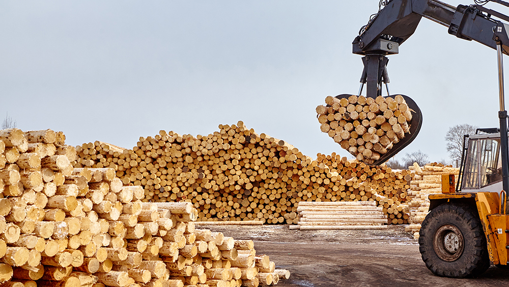 В Петрозаводске планируется строительство нового лесоперерабатывающего предприятия