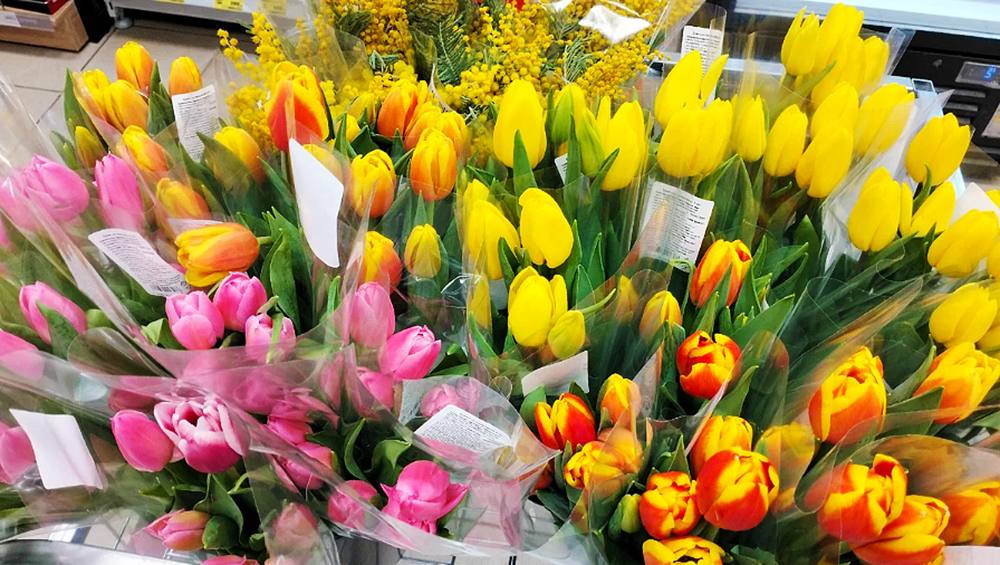 Роспотребнадзор дал простые советы при покупке цветов