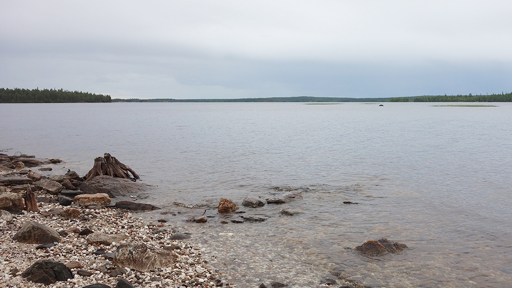 Рыбацкий комитет России призвал главу Карелии отменить решение о создании рыбоводного участка на Лоухском озере