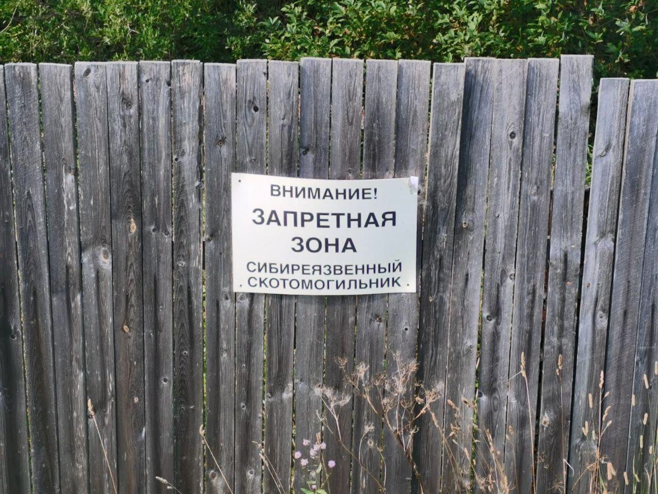 Власти пообещали обезопасить скотомогильник с сибирской язвой в Петрозаводске
