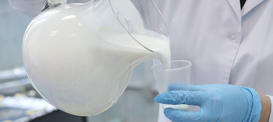 Глава Карелии ожидает начала производства «молока без запаха»