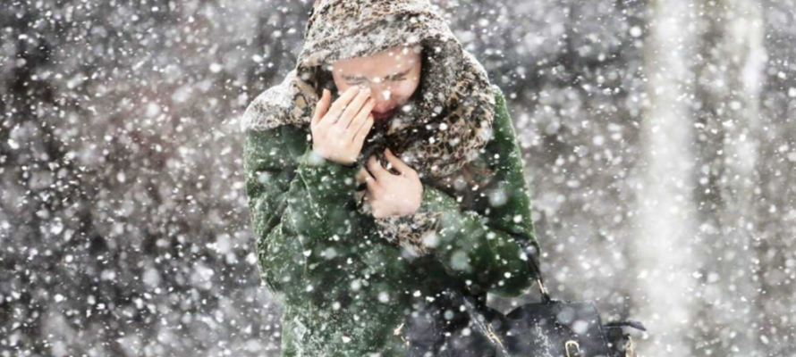 МЧС перед приближением снегопада призвала жителей Карелии ограничить прогулки детей