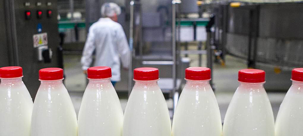 На мясную и молочную продукцию двух предприятий Карелии отозвали девять деклараций