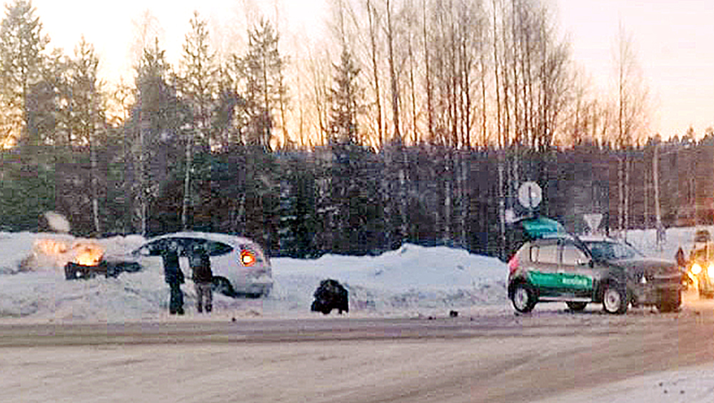 Автомобиль вылетел в сугроб после столкновения на севере Карелии (ФОТО)