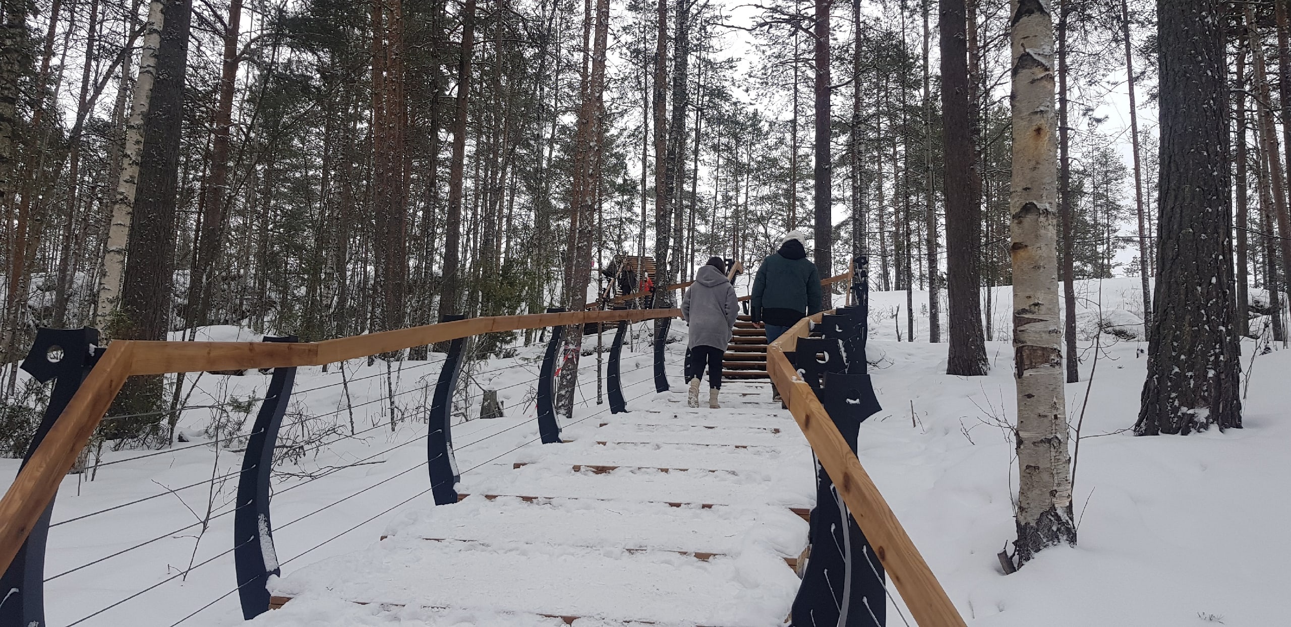 Вход на гору Сампо в Карелии сделали платным | СТОЛИЦА на Онего