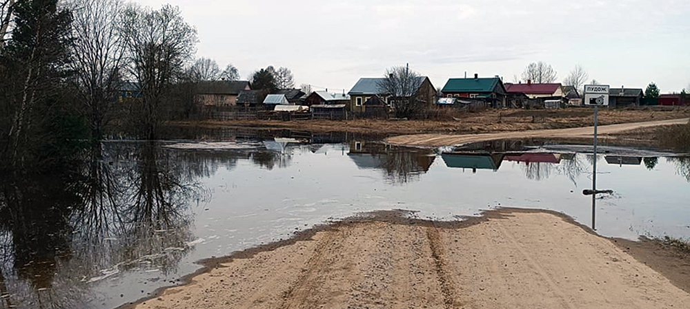 Река в Карелии вышла из берегов и затопила дорогу 