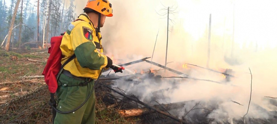 В Карелии набирают команду лесных пожарных из 120 человек