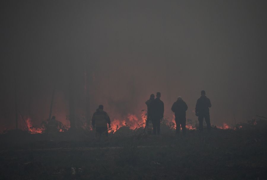 В лесах Карелии оперативно потушен первый лесной пожар