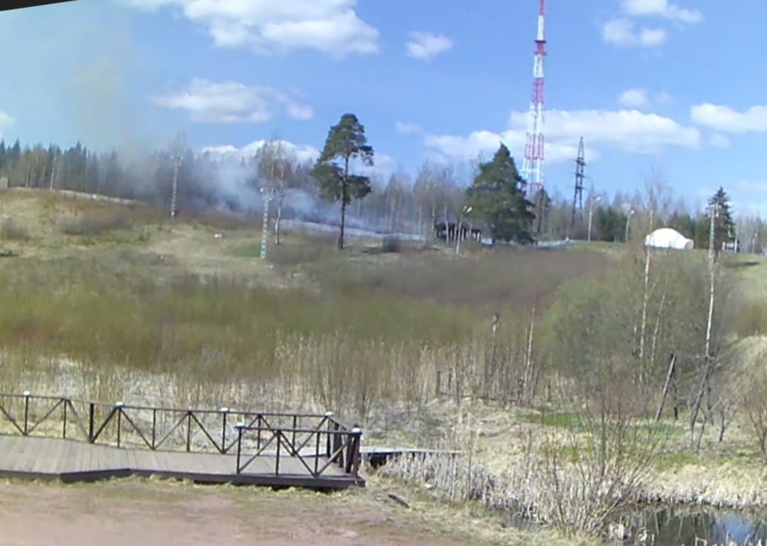 Трава загорелась у развлекательного центра в Петрозаводске