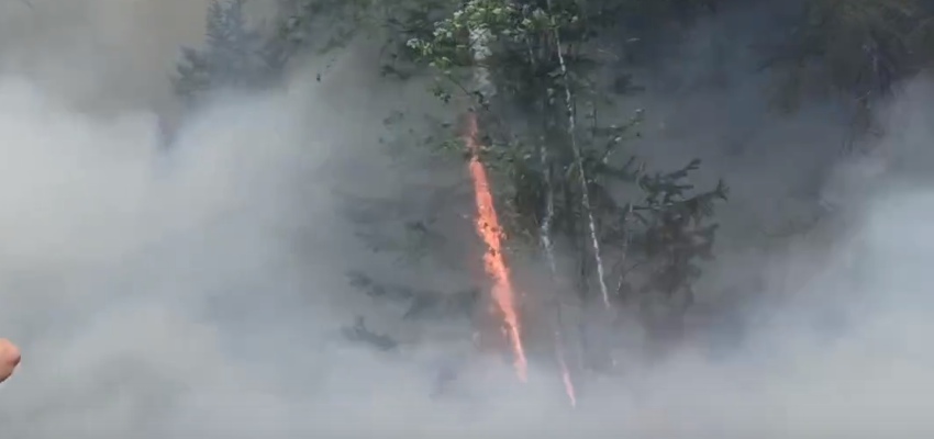 Авиалесоохрана Карелии обнаружила пожар в лесу у озера Сямозеро