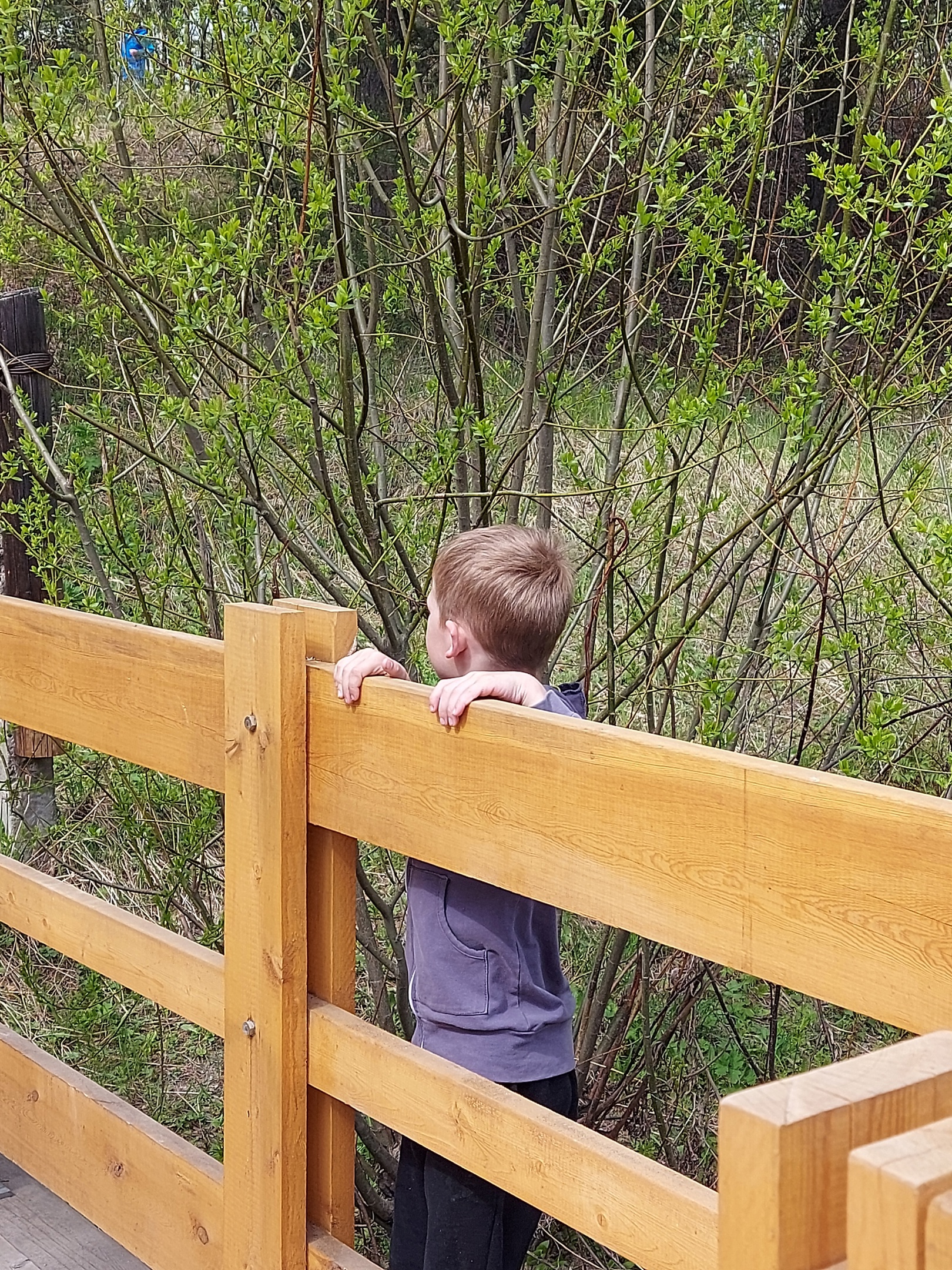 Ребенок устроил опасные игры на мосту в райцентре Карелии (ФОТО)