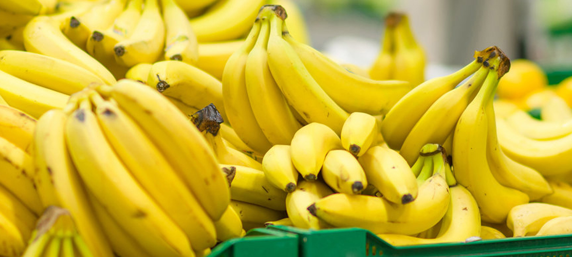 Бананы станут в России социально значимым продуктом