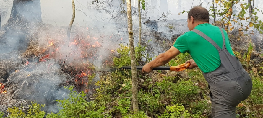Лесные пожары могут вспыхнуть в трех районах Карелии