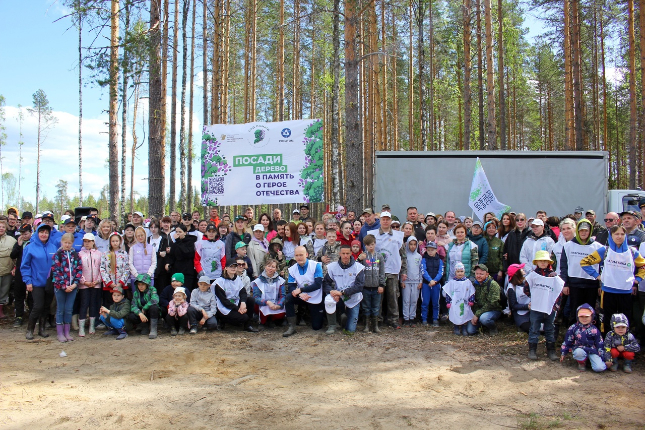 Три сотни жителей Карелии провели выходной за высадкой молодого леса (ФОТО)