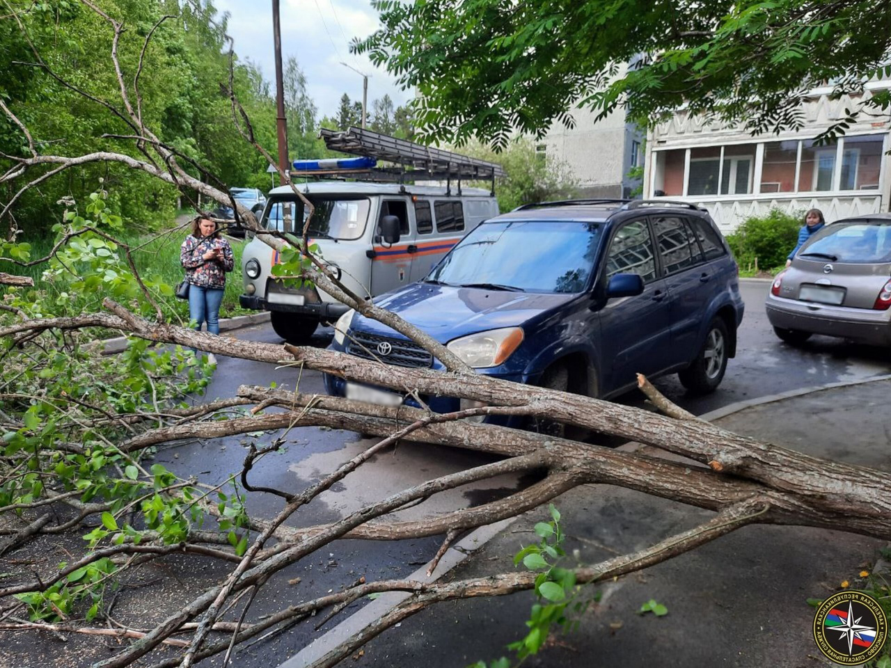 Дерево перегородило проезжую часть в спальном районе Петрозаводска (ФОТО)