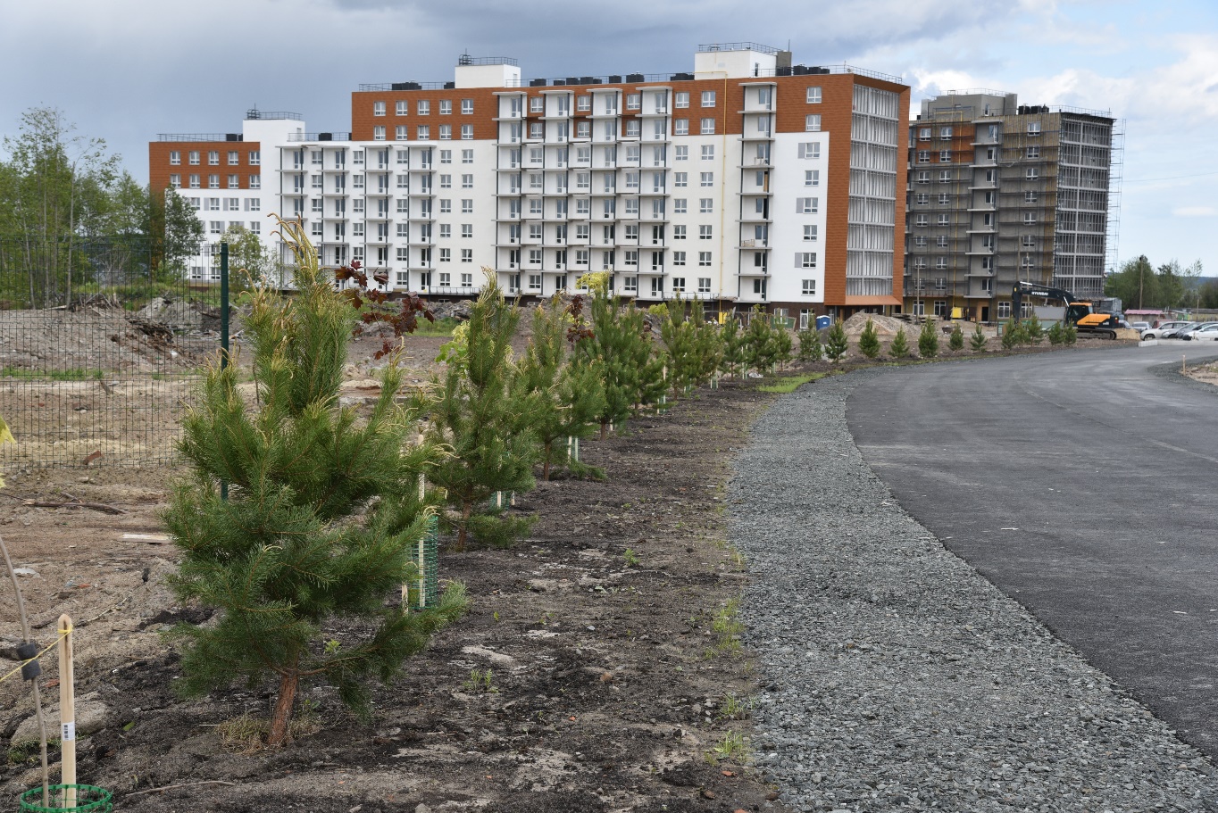 В новом районе Петрозаводска «Talojarvi. Город у воды» посадили первые деревья