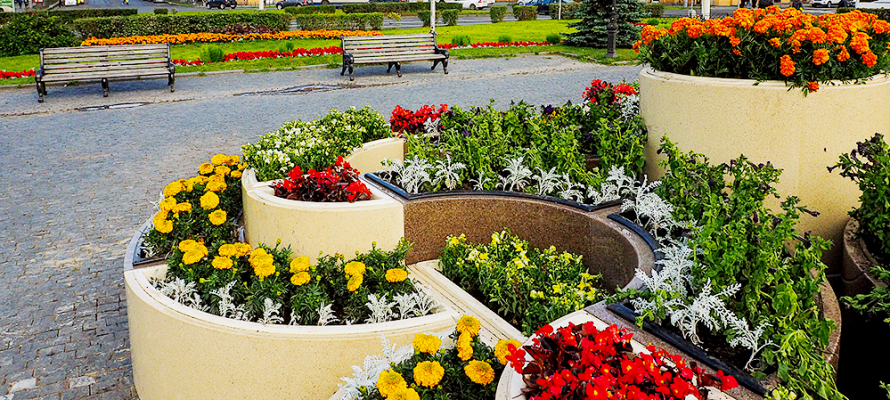 Уход за парками, цветниками и спортплощадками обойдется Петрозаводску в 26 млн рублей