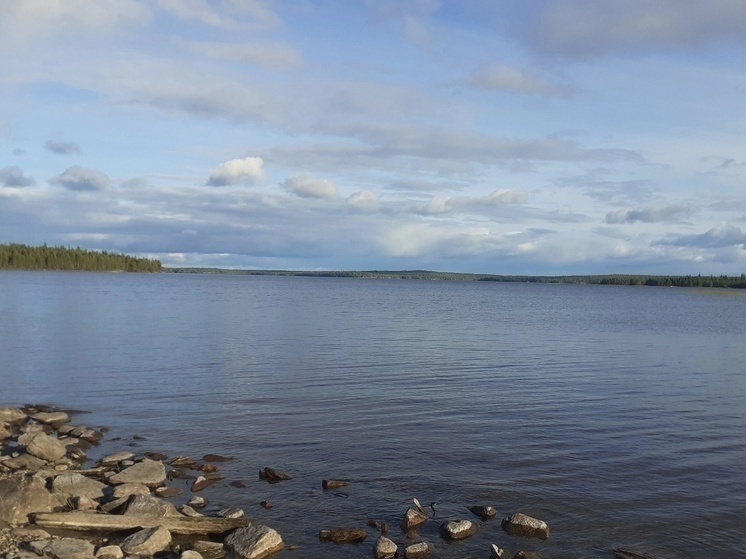 Лоухское озеро в Карелии может остаться без жемчужницы