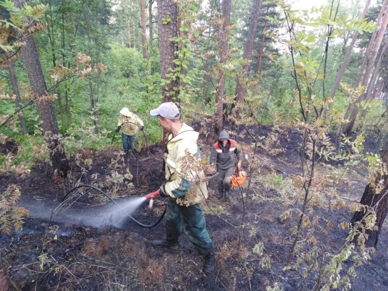 Спасатели остановили лесной пожар у крупного города на юге Карелии (ФОТО)