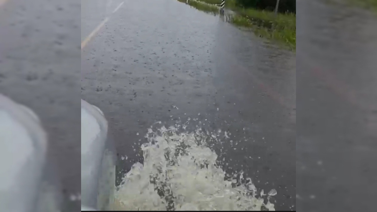 «Кругом вода»: в сети опубликовали видео затопленной трассы в Карелии (ВИДЕО)