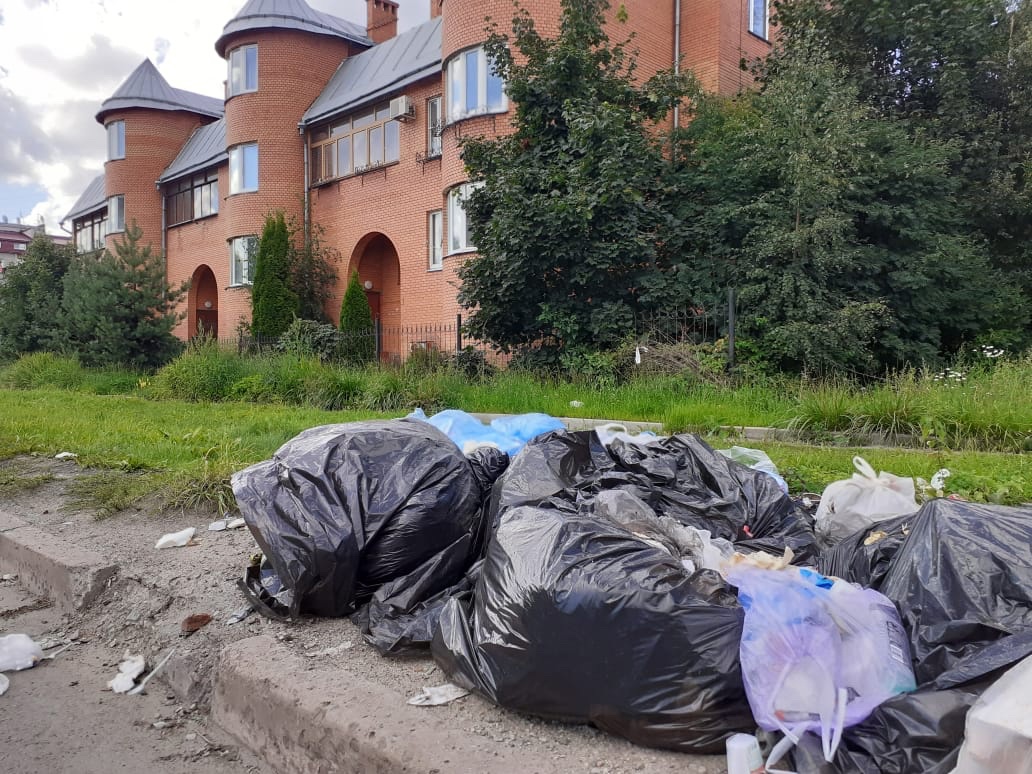 Вонючая свалка раздражает жителей одного из районов Петрозаводска