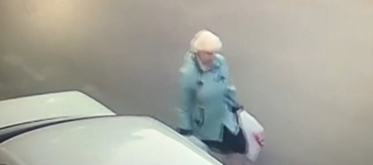 Пожилую петрозаводчанку ищут после кражи мобильного на детской площадке