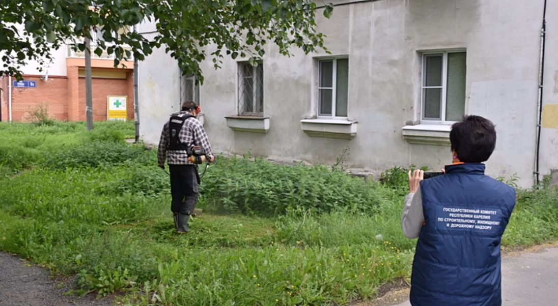 Инспекторы проверили, как управляющие компании справляются с покосом травы в Петрозаводске