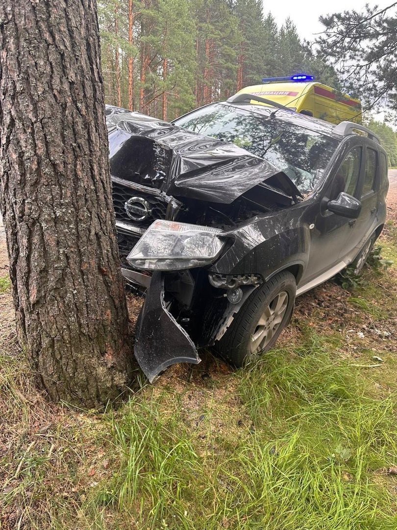 Житель Карелии пострадал в ДТП с деревом
