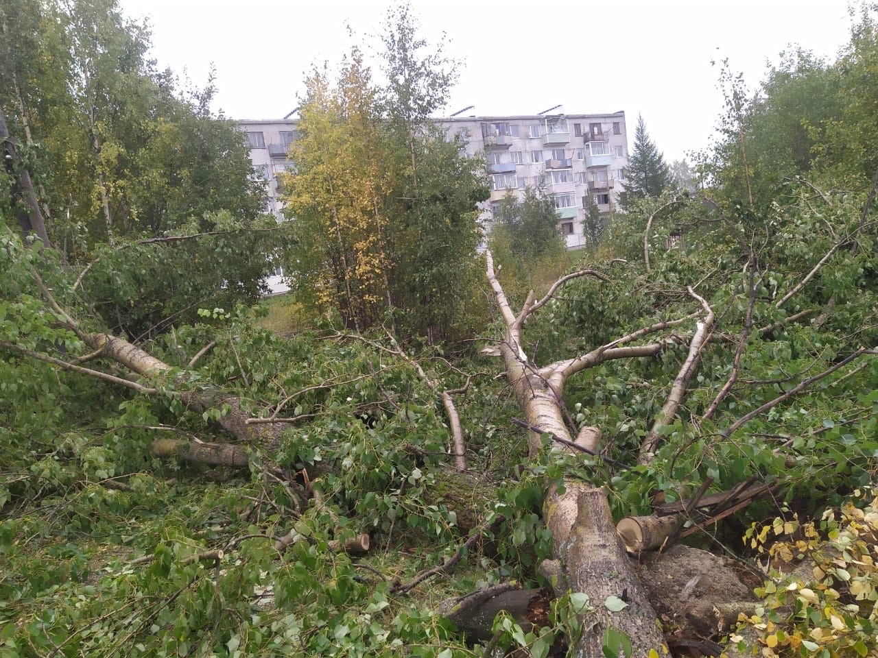 Аварийные бригады справились с последствиями урагана на севере Карелии